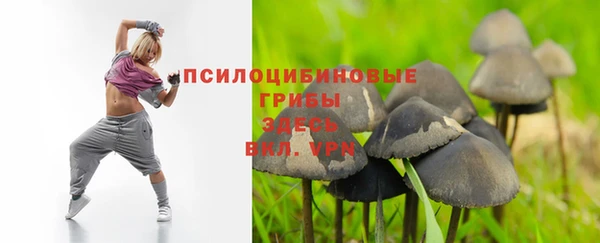 твердый Ханты-Мансийск