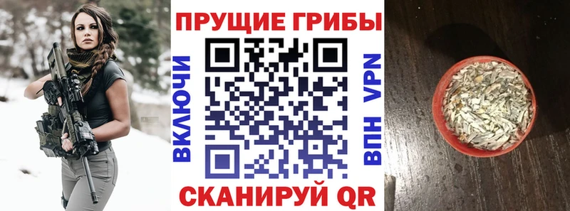 кракен ONION  Приволжск  Псилоцибиновые грибы Psilocybine cubensis  где можно купить  